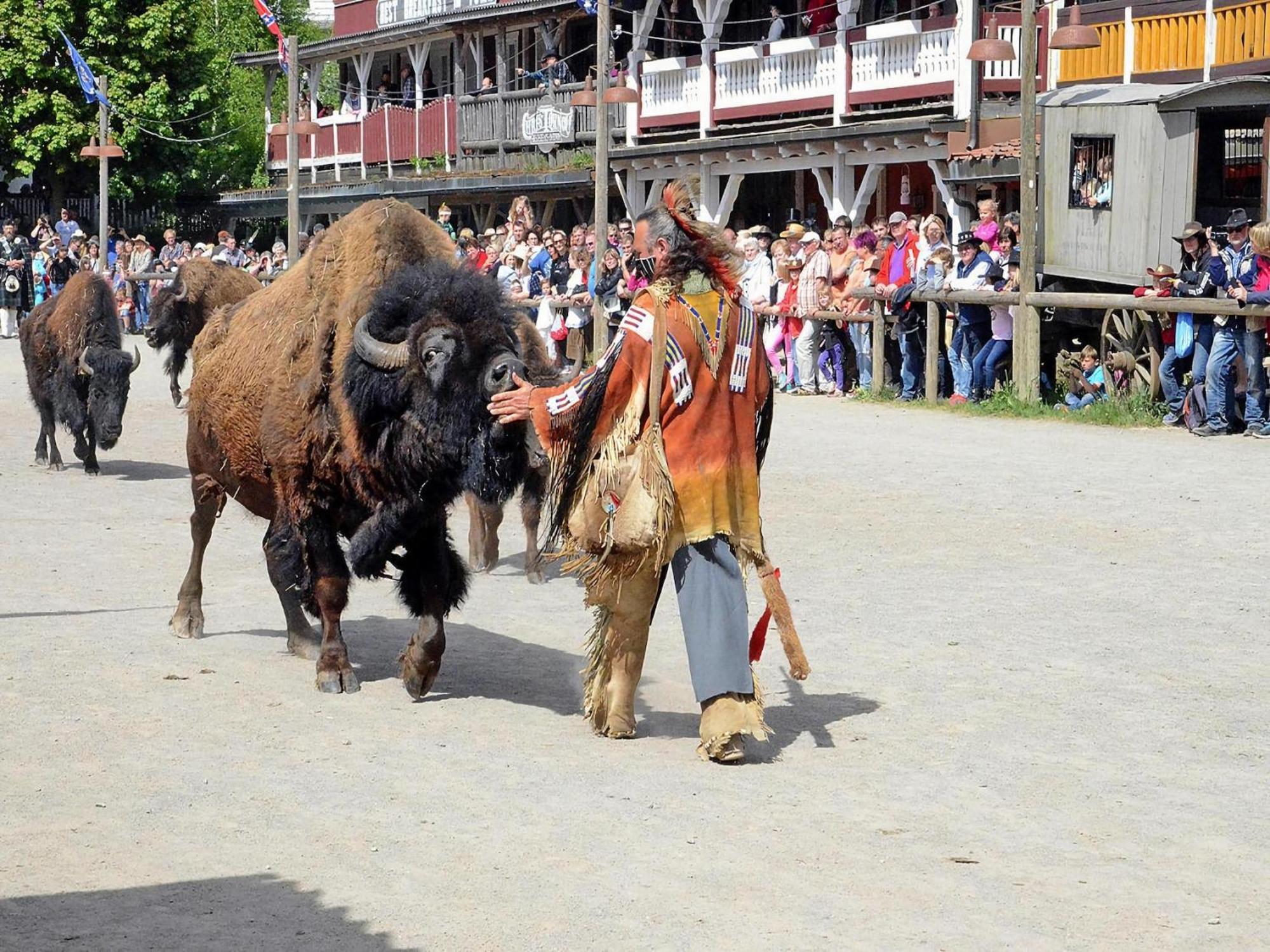 Harz Holiday Park, ハッセルフェルデ エクステリア 写真